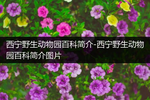西宁野生动物园百科简介-西宁野生动物园百科简介图片