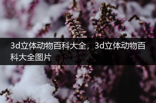 3d立体动物百科大全，3d立体动物百科大全图片
