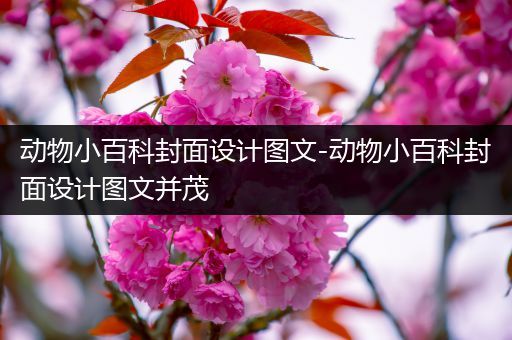 动物小百科封面设计图文-动物小百科封面设计图文并茂