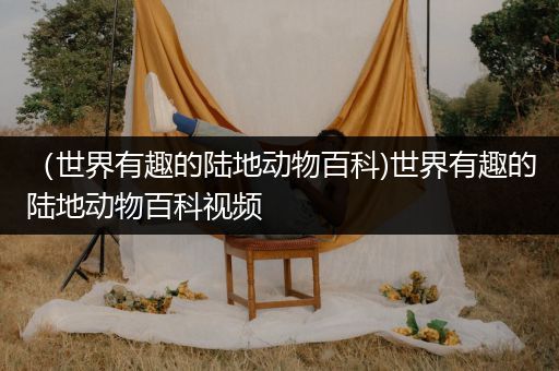 （世界有趣的陆地动物百科)世界有趣的陆地动物百科视频