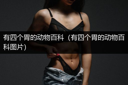 有四个胃的动物百科（有四个胃的动物百科图片）