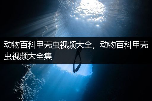 动物百科甲壳虫视频大全，动物百科甲壳虫视频大全集