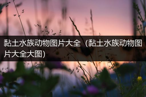 黏土水族动物图片大全（黏土水族动物图片大全大图）