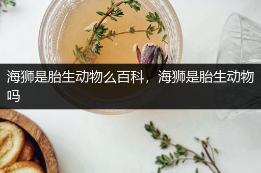 海狮是胎生动物么百科，海狮是胎生动物吗
