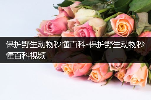 保护野生动物秒懂百科-保护野生动物秒懂百科视频