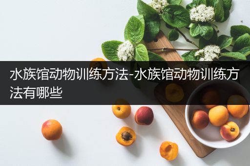 水族馆动物训练方法-水族馆动物训练方法有哪些