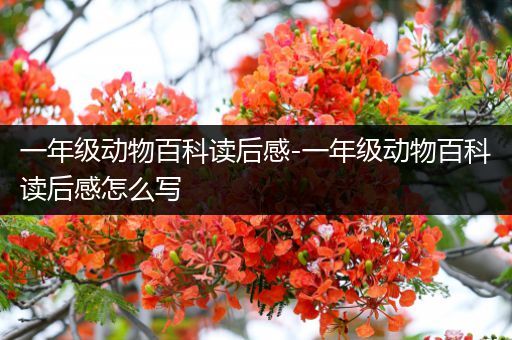 一年级动物百科读后感-一年级动物百科读后感怎么写
