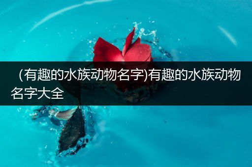 （有趣的水族动物名字)有趣的水族动物名字大全