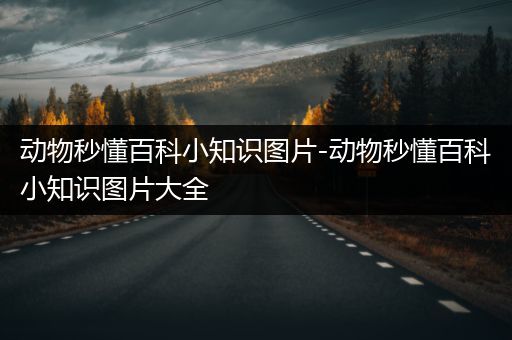动物秒懂百科小知识图片-动物秒懂百科小知识图片大全