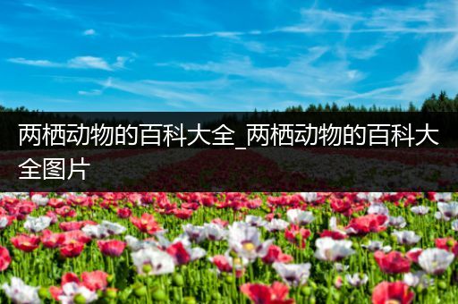 两栖动物的百科大全_两栖动物的百科大全图片
