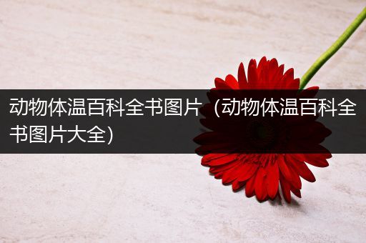 动物体温百科全书图片（动物体温百科全书图片大全）