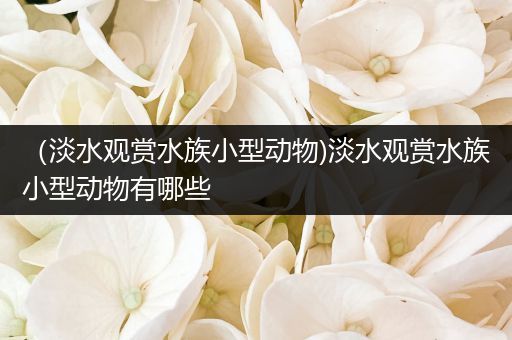 （淡水观赏水族小型动物)淡水观赏水族小型动物有哪些