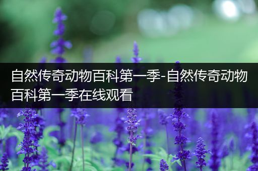自然传奇动物百科第一季-自然传奇动物百科第一季在线观看