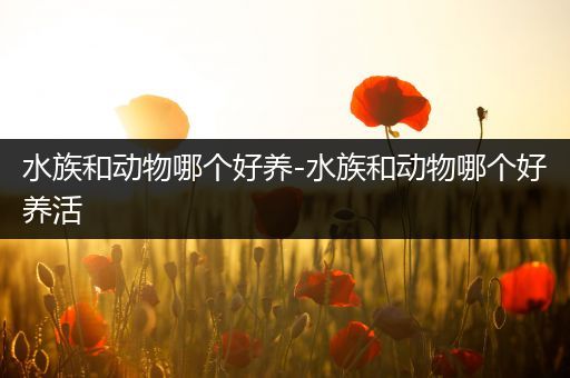 水族和动物哪个好养-水族和动物哪个好养活