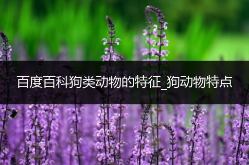 百度百科狗类动物的特征_狗动物特点
