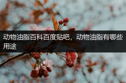 动物油脂百科百度贴吧，动物油脂有哪些用途