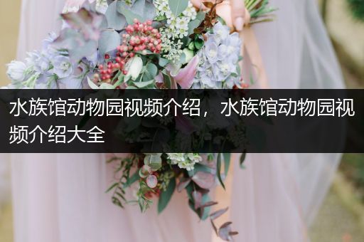 水族馆动物园视频介绍，水族馆动物园视频介绍大全