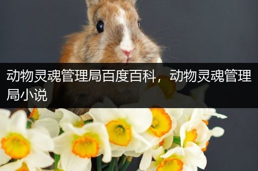 动物灵魂管理局百度百科，动物灵魂管理局小说