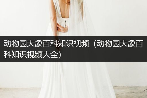 动物园大象百科知识视频（动物园大象百科知识视频大全）