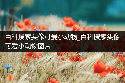 百科搜索头像可爱小动物_百科搜索头像可爱小动物图片