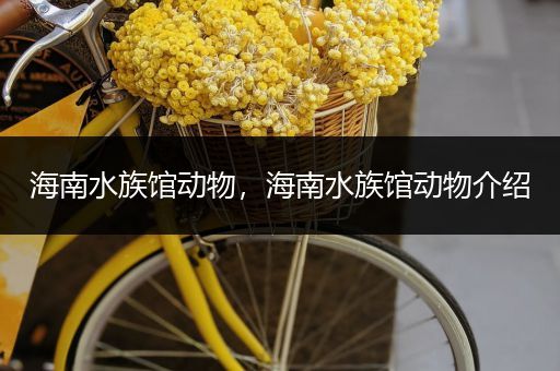 海南水族馆动物，海南水族馆动物介绍