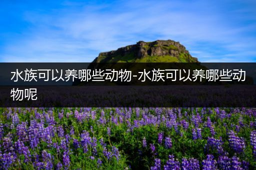 水族可以养哪些动物-水族可以养哪些动物呢