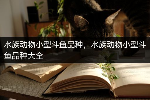 水族动物小型斗鱼品种，水族动物小型斗鱼品种大全