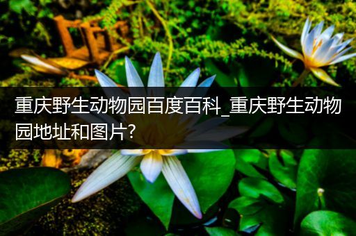 重庆野生动物园百度百科_重庆野生动物园地址和图片?