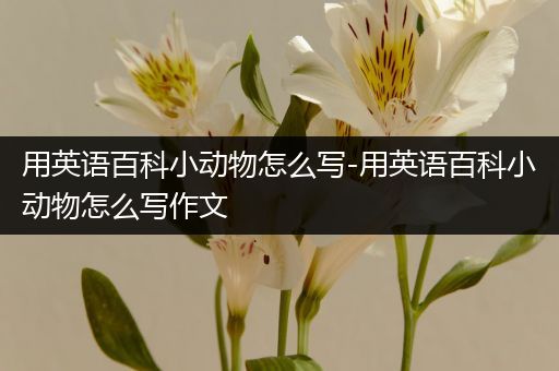 用英语百科小动物怎么写-用英语百科小动物怎么写作文