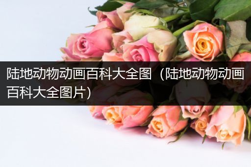 陆地动物动画百科大全图（陆地动物动画百科大全图片）