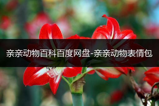 亲亲动物百科百度网盘-亲亲动物表情包
