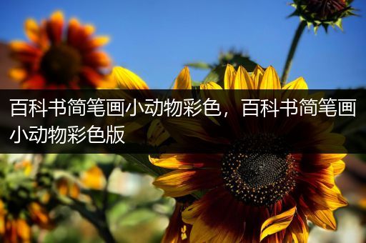 百科书简笔画小动物彩色，百科书简笔画小动物彩色版