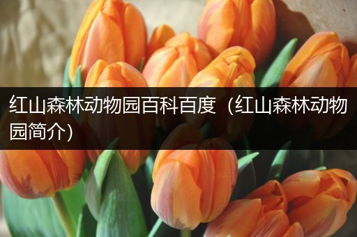 红山森林动物园百科百度（红山森林动物园简介）