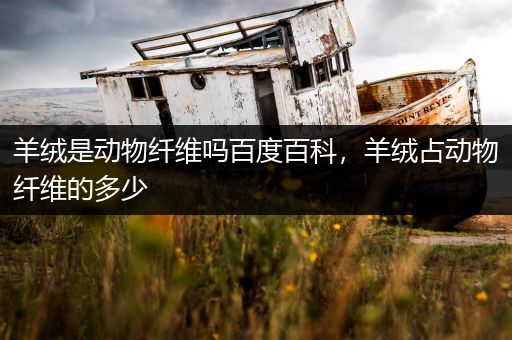 羊绒是动物纤维吗百度百科，羊绒占动物纤维的多少