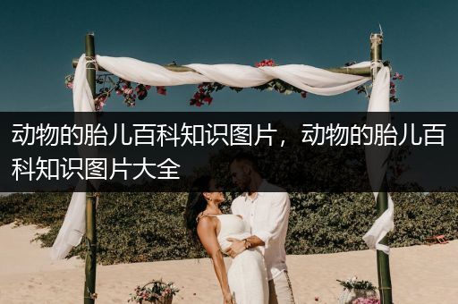 动物的胎儿百科知识图片，动物的胎儿百科知识图片大全