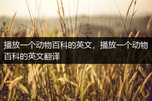 播放一个动物百科的英文，播放一个动物百科的英文翻译