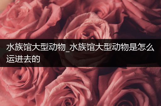水族馆大型动物_水族馆大型动物是怎么运进去的
