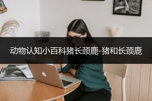 动物认知小百科猪长颈鹿-猪和长颈鹿