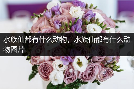 水族仙都有什么动物，水族仙都有什么动物图片