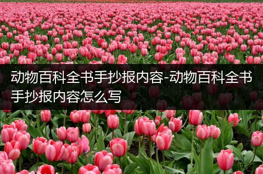动物百科全书手抄报内容-动物百科全书手抄报内容怎么写