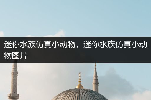 迷你水族仿真小动物，迷你水族仿真小动物图片