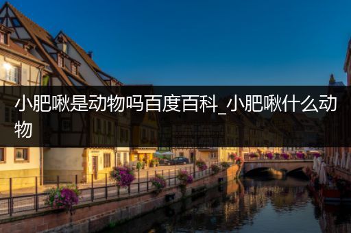 小肥啾是动物吗百度百科_小肥啾什么动物