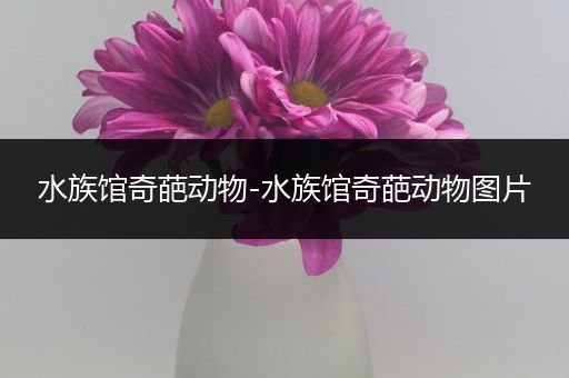 水族馆奇葩动物-水族馆奇葩动物图片