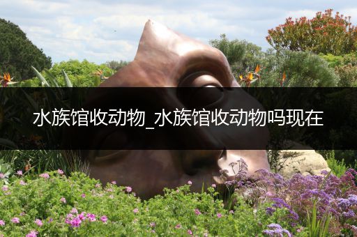 水族馆收动物_水族馆收动物吗现在