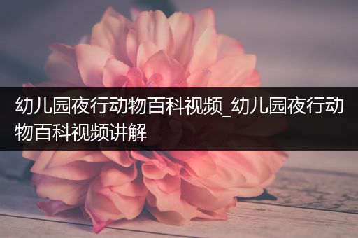 幼儿园夜行动物百科视频_幼儿园夜行动物百科视频讲解