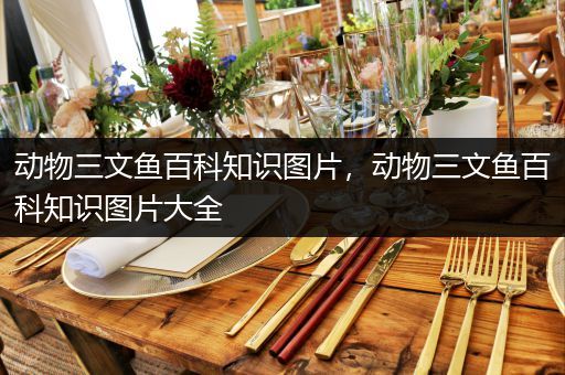动物三文鱼百科知识图片，动物三文鱼百科知识图片大全