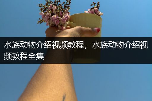 水族动物介绍视频教程，水族动物介绍视频教程全集