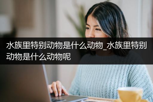 水族里特别动物是什么动物_水族里特别动物是什么动物呢