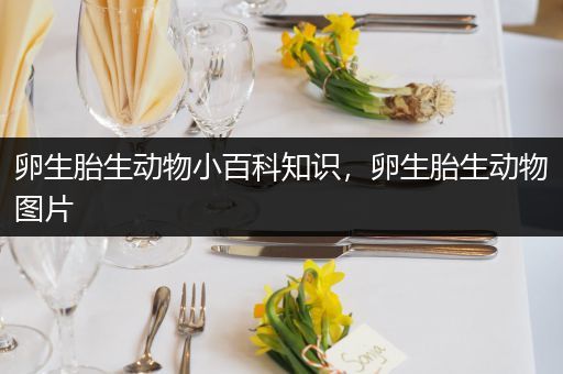 卵生胎生动物小百科知识，卵生胎生动物图片