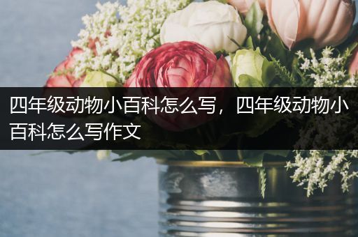 四年级动物小百科怎么写，四年级动物小百科怎么写作文